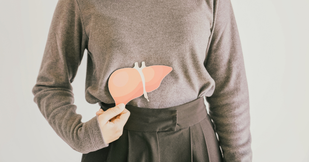 Personne tenant une illustration du foie, prendre soin de son foie, de sa fatigue, pendant les fêtes